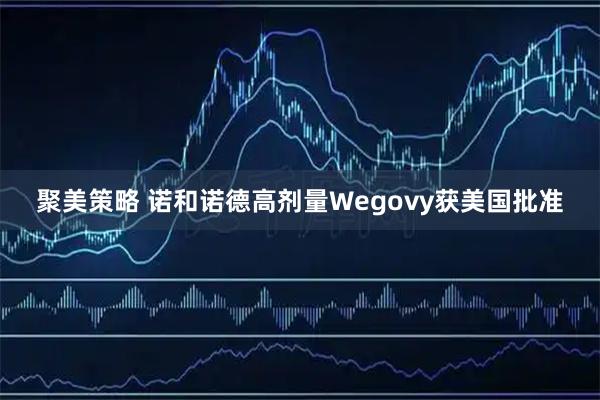 聚美策略 诺和诺德高剂量Wegovy获美国批准
