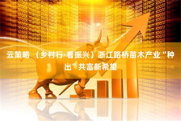 云策略 （乡村行·看振兴）浙江路桥苗木产业“种出”共富新希望