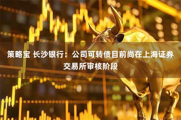 策略宝 长沙银行：公司可转债目前尚在上海证券交易所审核阶段